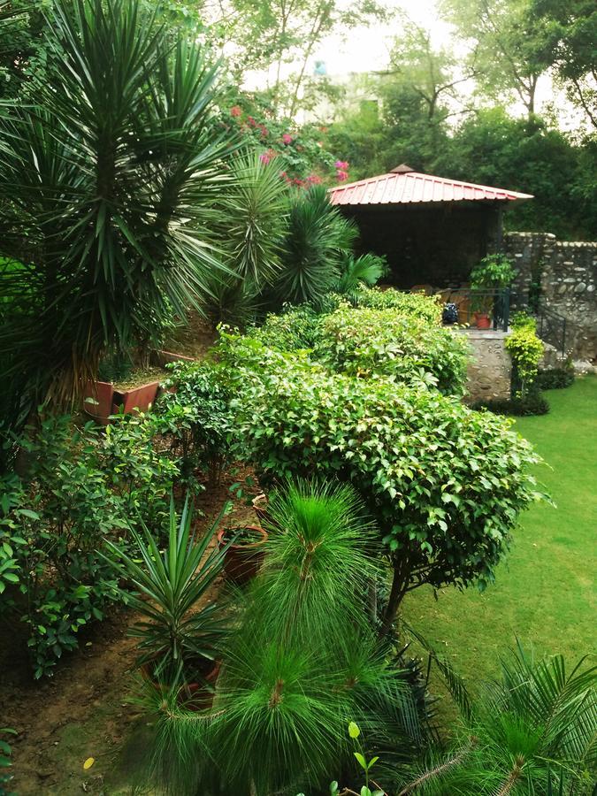 Siswan Jungle Lodge Baddi Exterior photo