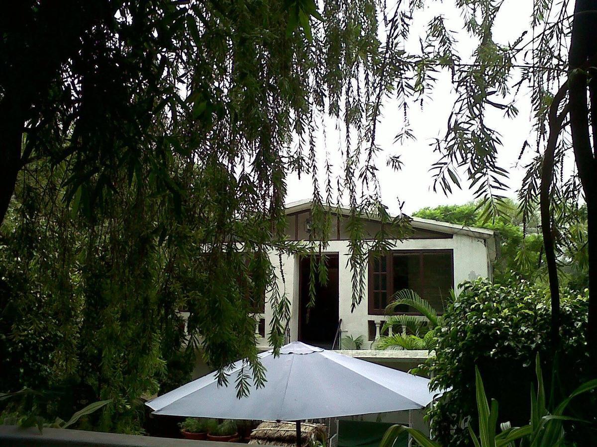 Siswan Jungle Lodge Baddi Exterior photo